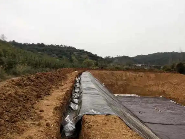 1784625218445079.jpg